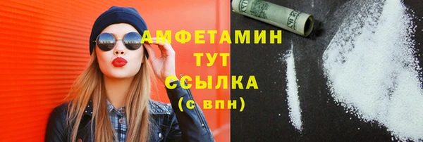 шишки Медногорск