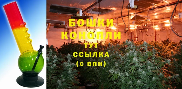 шишки Медногорск