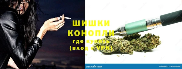 шишки Медногорск