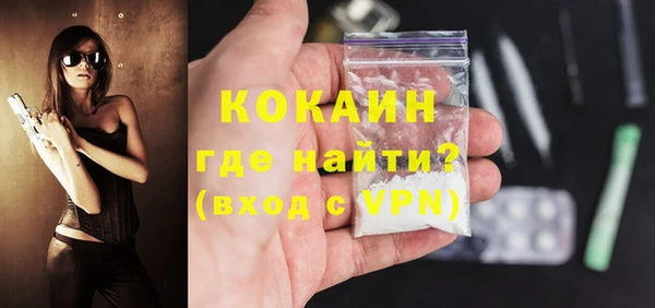 шишки Медногорск