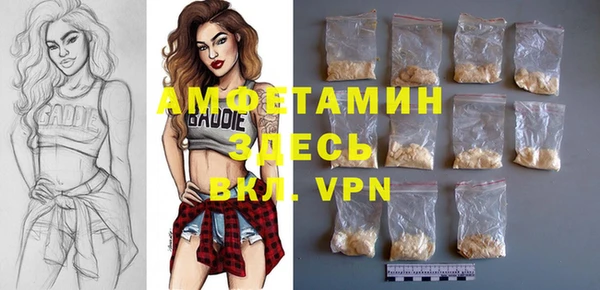 шишки Медногорск