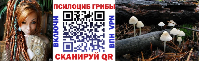 Галлюциногенные грибы мицелий Власиха